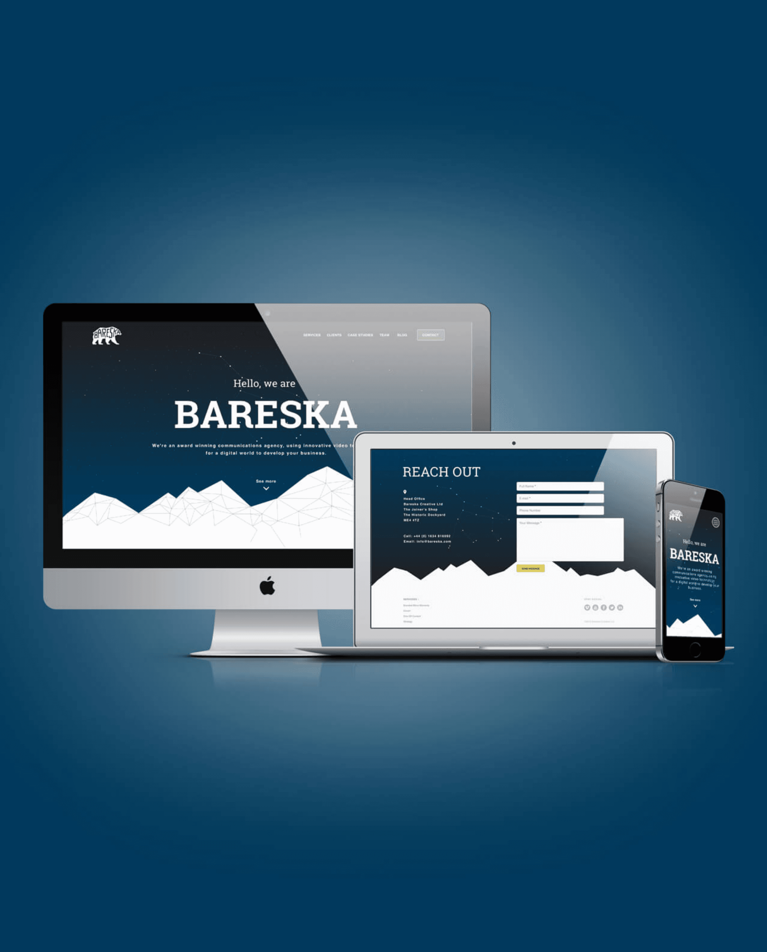 Bareska Website design